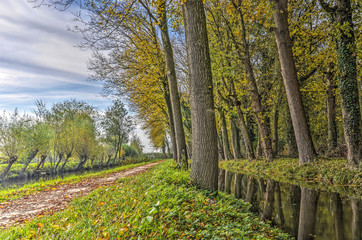 Footpath on a strip of land between two canals lined with trees on an autumn day near Woerden, The Netherlands