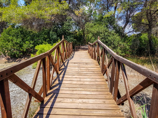 Fototapeta na wymiar Bridge built with logs in the interpretation center of the Albufera de Valencia and the lagoon that can be visited next to the path between nature