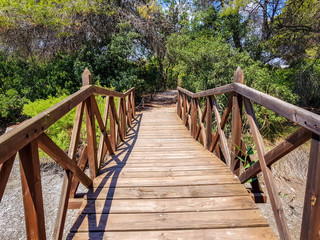 Fototapeta na wymiar Bridge built with logs in the interpretation center of the Albufera de Valencia and the lagoon that can be visited next to the path between nature
