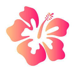 Summer hibiscus beautiful flower vector illustration