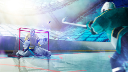 Professional hockey players in action on grand arena