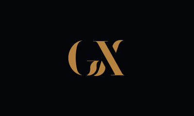 GX logo design template vector illustration minimal design