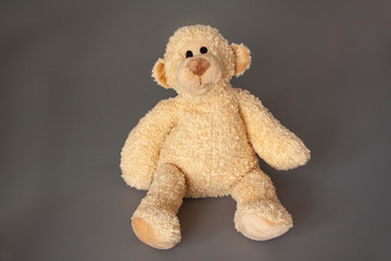Cute soft teddy bear sitting. Close up image.