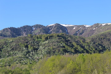 Fototapeta na wymiar mountain top in snow