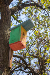 Colorful wooden birdhouse on tree. Design of nesting box. Bird shelter in spring forest. Handmade...