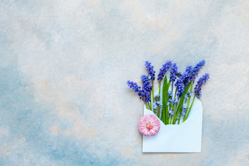 Blue muscari flowers in the blue paper envelope on the sky blue background