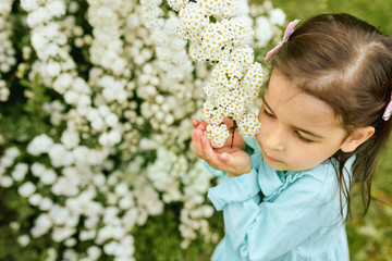 Pretty child sniffing the white flowers in the city park. Beautiful little girl wearing light blue dress, exploring and enjoying the summer time at the nature. Mothers day