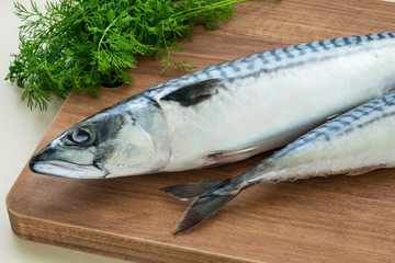 Two raw mackerels and a bunch of fresh dill on a brown wooden cutting board. Seafood, healthy...
