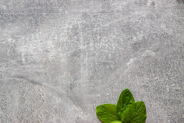 Liście mięty na betonowym tle © andsko