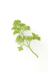Parsley leaves