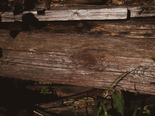 the old logs from the destroyed wooden house