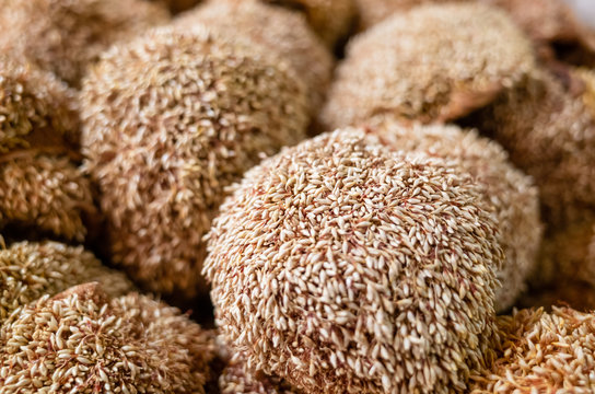 group of dried aiyu seeds