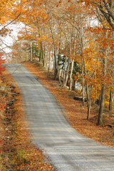 country road ascending through colorful autumn woods