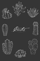 Poster with ornament hand drawn lettering, cacti and succulents on a chalkboard background