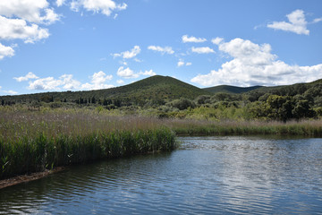 Rivière sauvage de l'Ostriconi en Corse