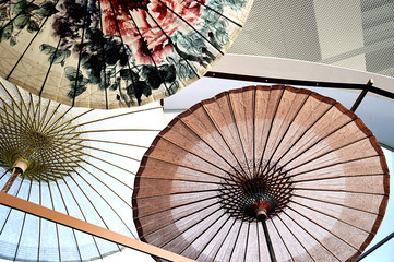 asian umbrella 