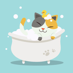 A Cute  character cartoon cat lying in the bathtub with duck toy.