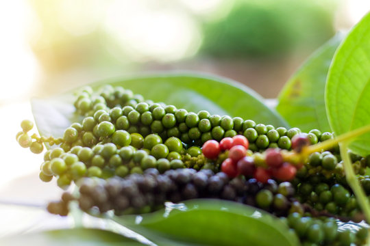  Close-up of fresh green pepper,ripe,black and leaf on wood floor.
