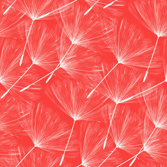 Dandelions seed pattern