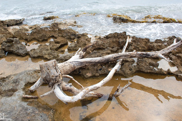 views of the sea of ​​Torre Suda