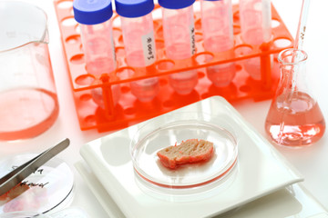 cultured meat image, lab grown meat concept