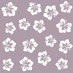 Summer hibiscus beautiful flower vector illustration