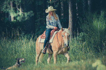 Ein Cowgirl reitet mit ihrem Haflinger und einem Husky durch den Wald - obrazy, fototapety, plakaty