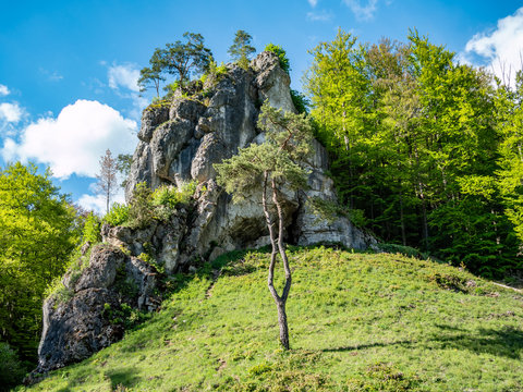 Kletterfelsen im Pegnitztal Fr&auml;nkische Schweiz
