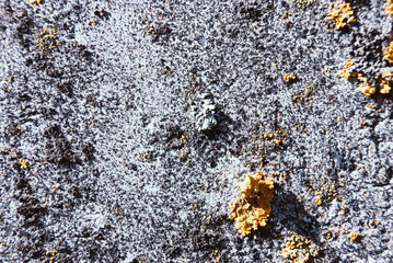 Concrete floor texture