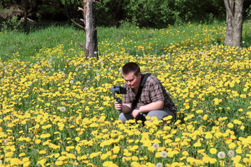 Young plump man in a meadow with blooming dandelions. Conducts video recording on a smartphone installed on a gimbal. Crouched on his haunches.
