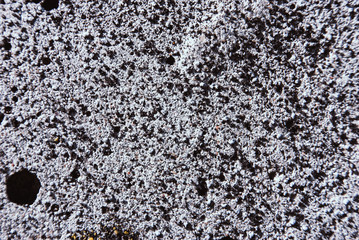 Obraz premium Concrete floor texture