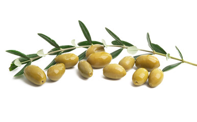 olives with leaves isolated