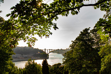 Fototapeta na wymiar View over Arrabida bridge and Douro river from the gardens of the Crystal Palace in Porto, Portugal