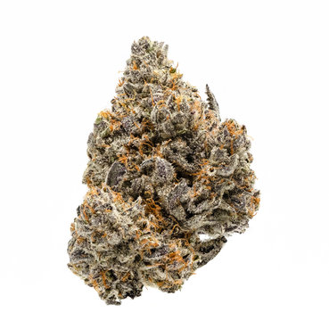 White Buffalo Cannabis Bud