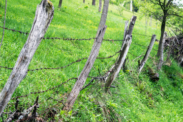 Barbed wire. A barbed wire on a fence with wooden parts