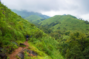 Greenery of Kudremukh peak in Karnataka