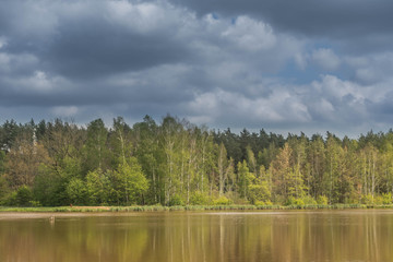 Fototapeta na wymiar Zbiornik wodny w lesie.