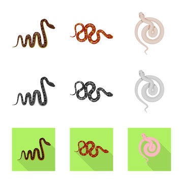 Vector illustration of mammal and danger logo. Set of mammal and medicine stock symbol for web.