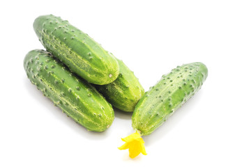 Three ripe cucumbers.