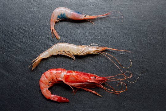 red prawn, white prawn and shrimp on dark background