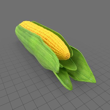 Corn cob with leaves