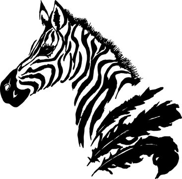 Black white illustration of a psychedelic zebra with feathers. Tattoo idea.