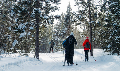 Cross Country Skiing in Lander, Wyoming 