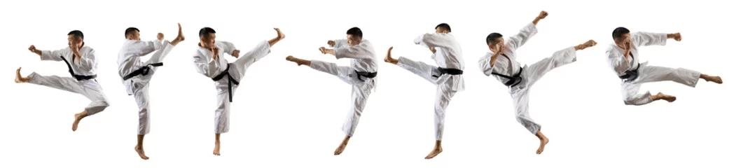 Fotobehang Martial arts masters isolated © Andrey Burmakin
