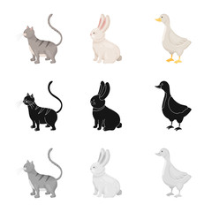 Vector illustration of breeding and kitchen  icon. Collection of breeding and organic  stock vector illustration.