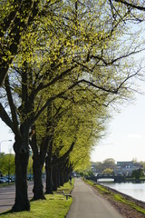 Fototapeta premium autumn in the park