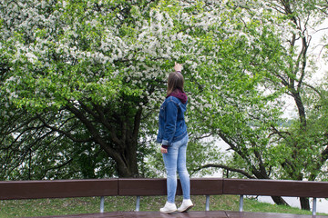 Naklejka na ściany i meble Young beautiful girl stays near an blooming tree
