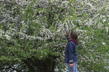 Naklejka na ściany i meble Young beautiful girl stays near an blooming tree