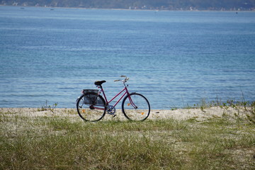 Fototapeta premium bicycle on beach