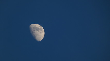 Fototapeta premium Moon on a Dark Blue Sky